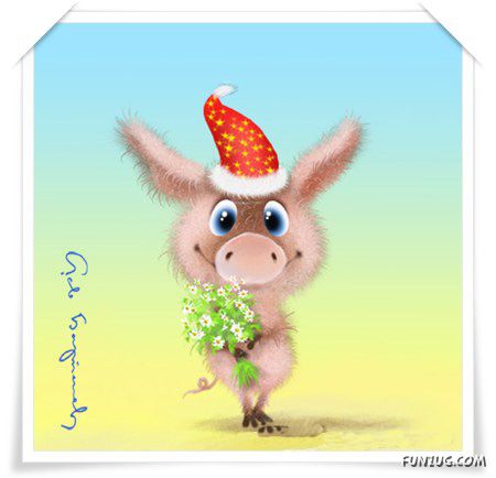 Valentine Day__sMs Collection